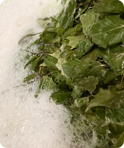 Авторські програми паріння