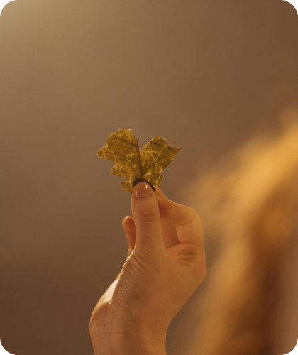 Індивідуальний підхід